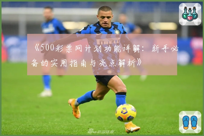 《500彩票网计划功能详解：新手必备的实用指南与亮点解析》