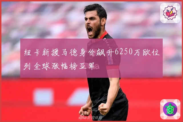纽卡新援马德身价飙升6250万欧位列全球涨幅榜亚军